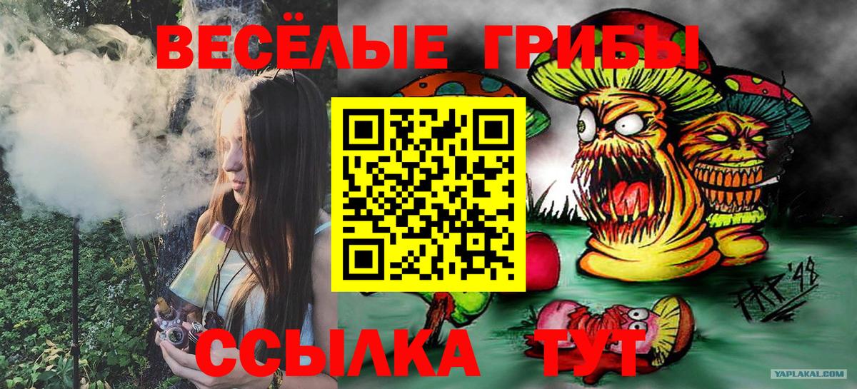 Галлюциногенные грибы мухоморы Пенза