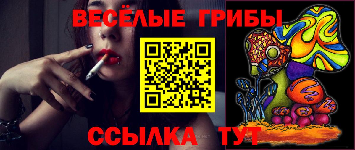 Псилоцибиновые грибы мухоморы  Вход с VPN  Галлюциногенные грибы Psilocybine cubensis  Пенза 